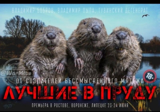 Немного мемов на злобу дня