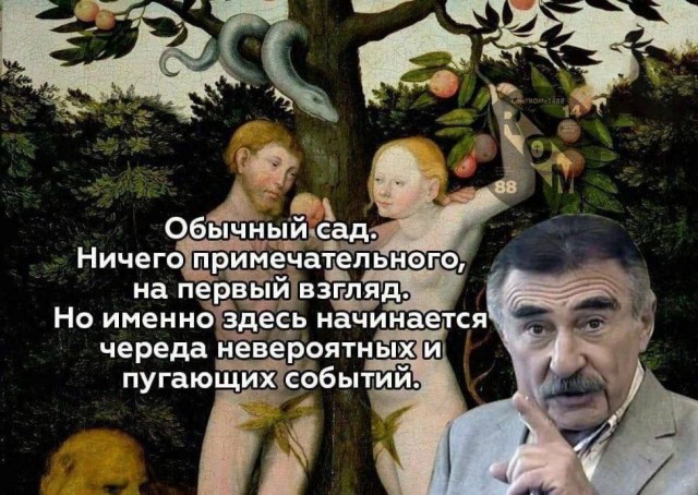 Всего понемногу. От 20.12