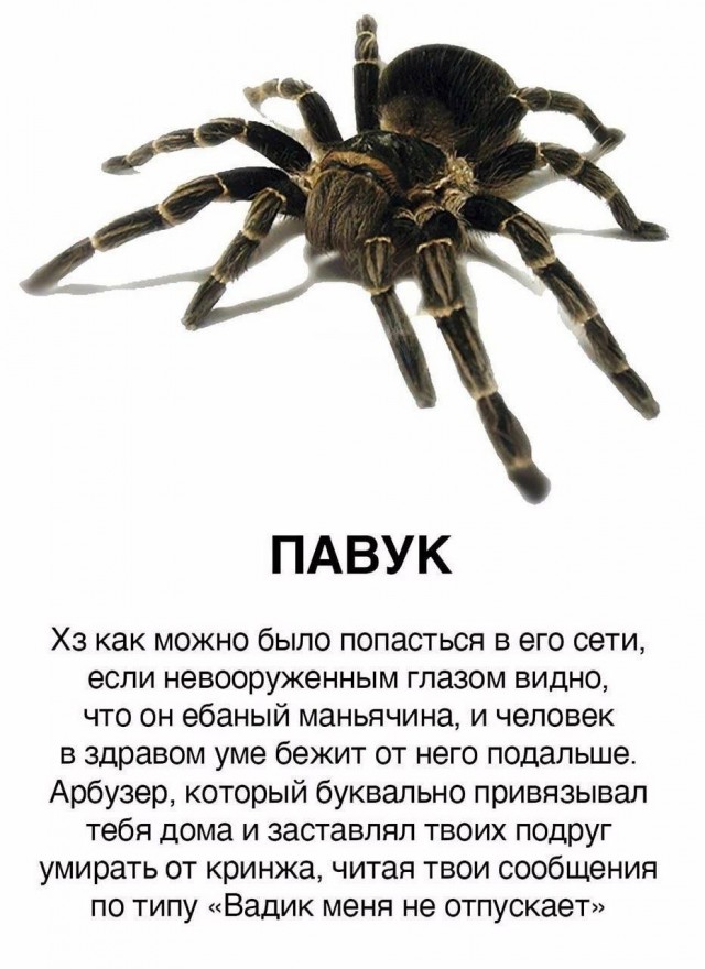 Юмор в картинках и без