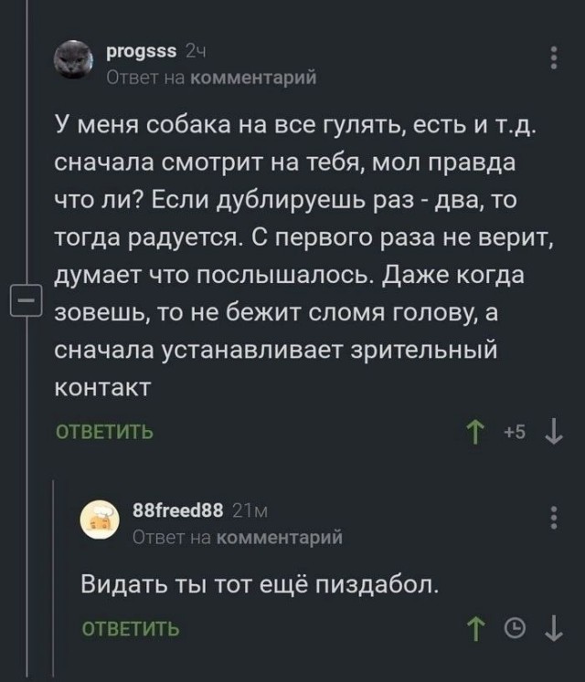 Веселые картинки к пятнице