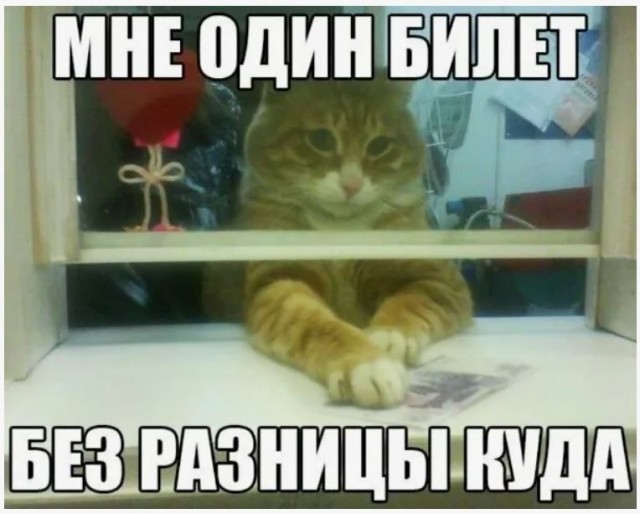 Помощник кассира.