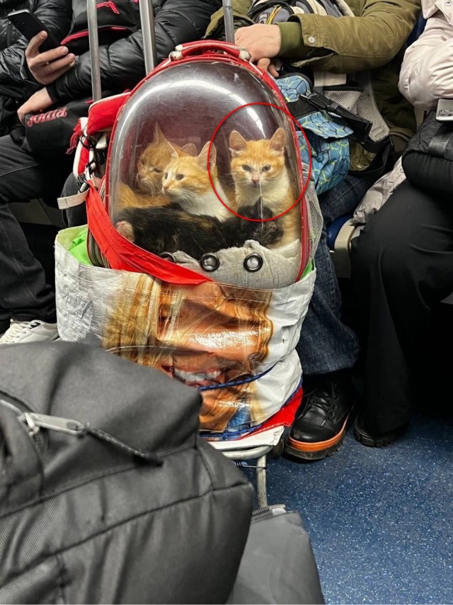 Космонавты в метро