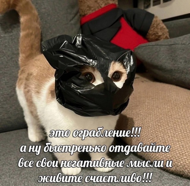 Так себе картинки 24.11.24