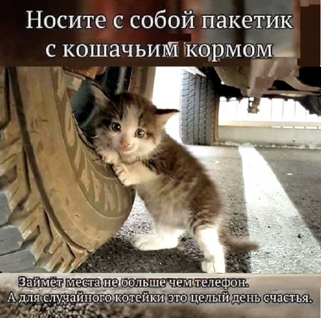 Картинки разные с надписями и без