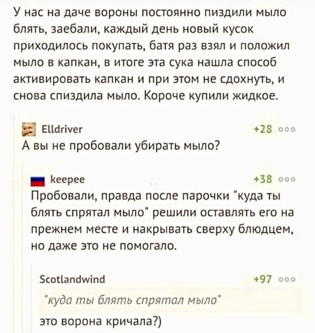 Так себе картинки 26.02.25