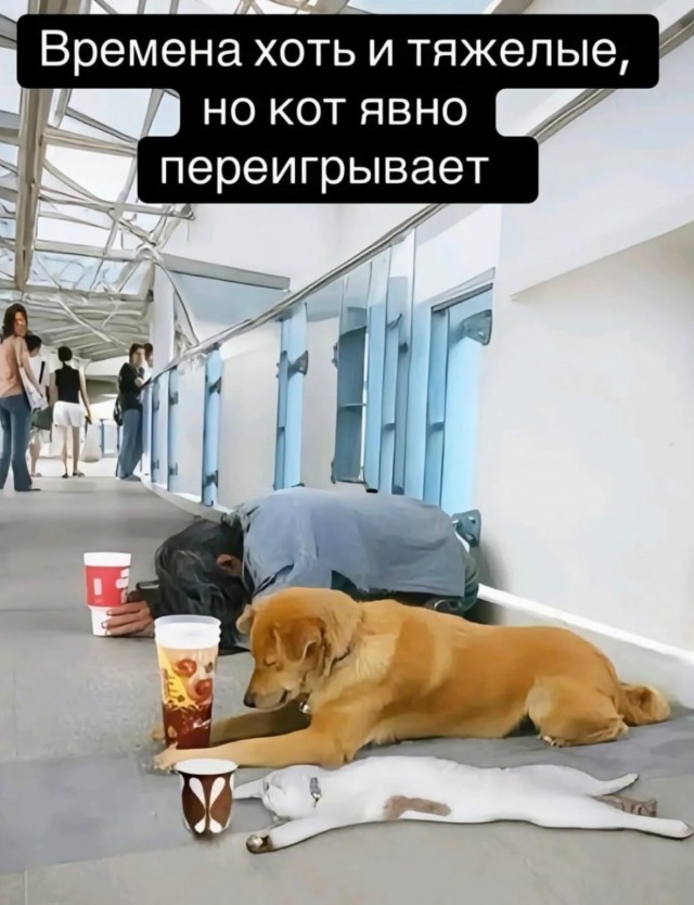 Завалялось тут случайно немного забавных картинок