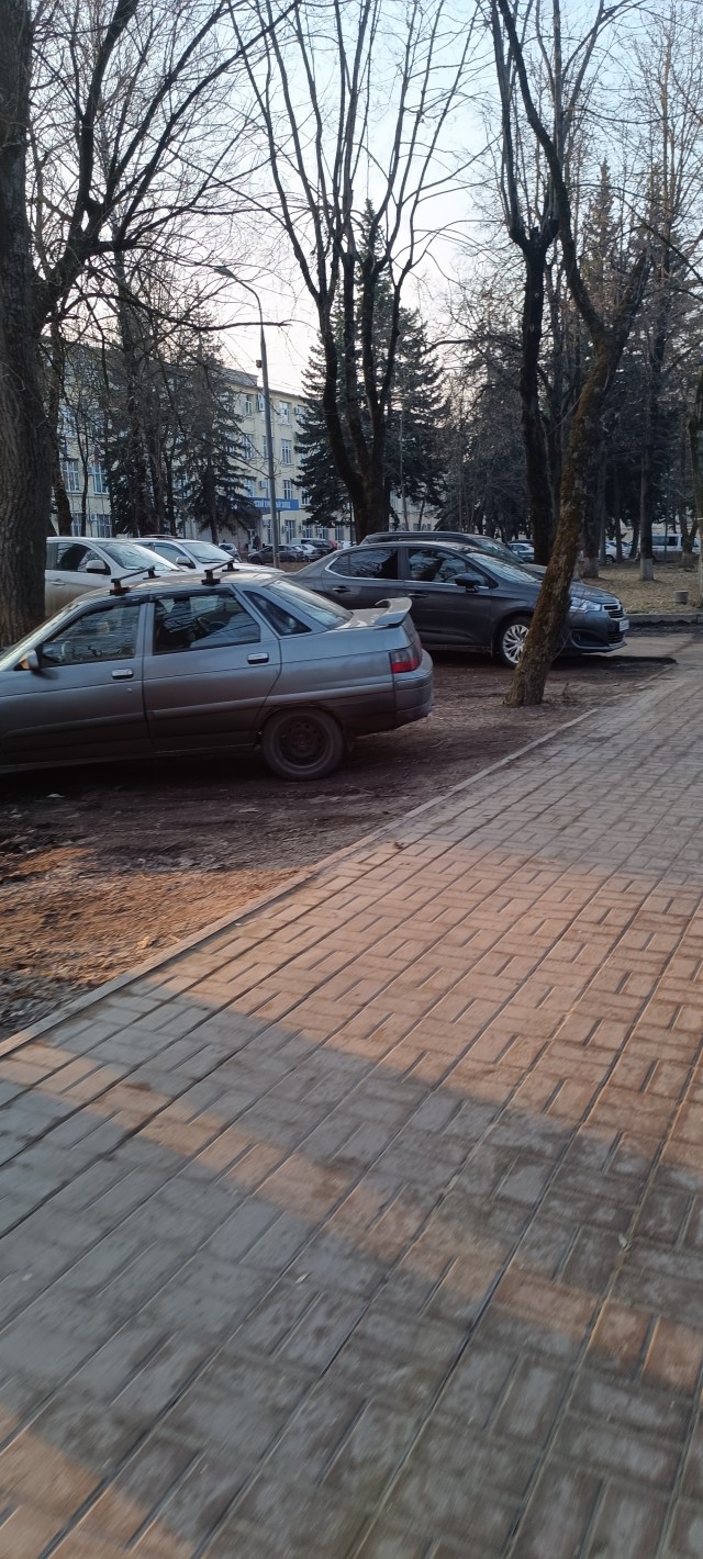 Плевать на всех. Мы паркуемся как хотим.