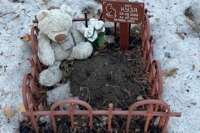Владельцев домашних животных ждет штраф за самовольное захоронение своих любимцев