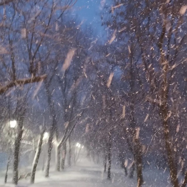 Заметает Москву, заметает... Три часа назад на М12