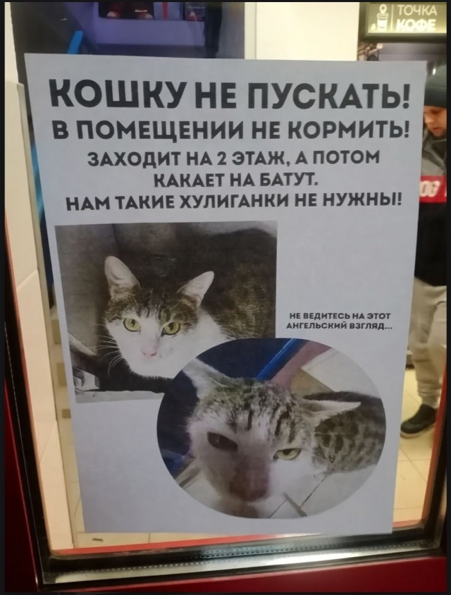 Так себе картинки 12.05.25