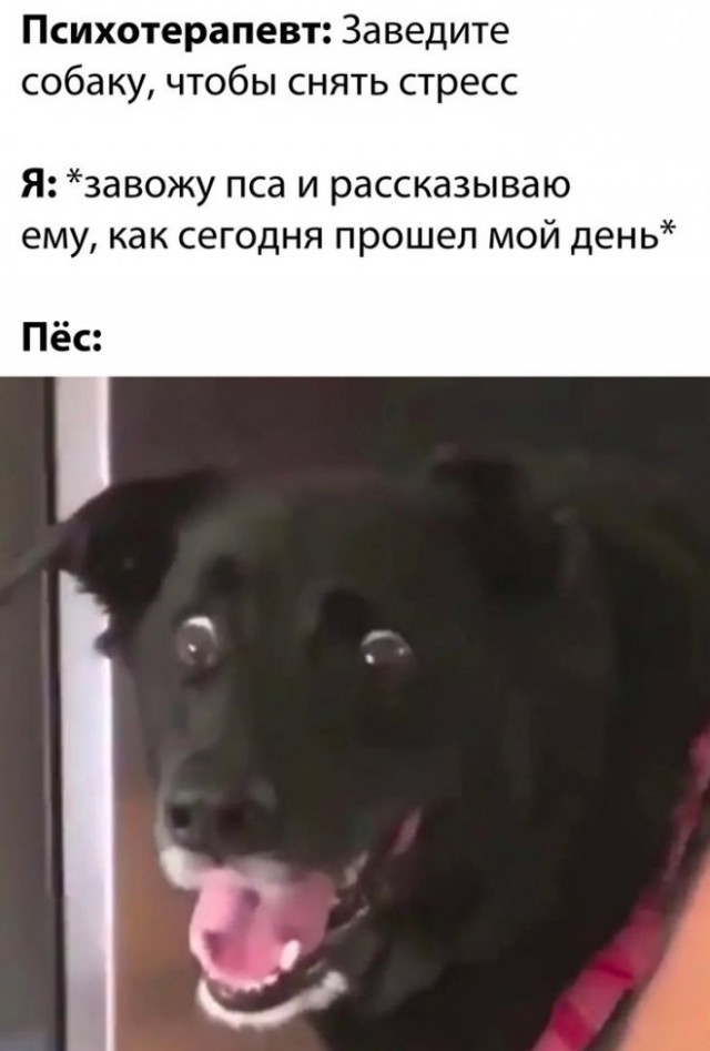 Веселые картинки в пятницу (25.07)