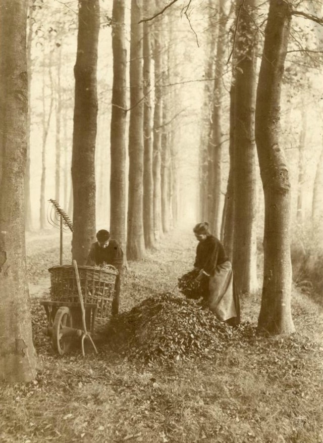 Редкие кадры и архивные снимки 30.07.25