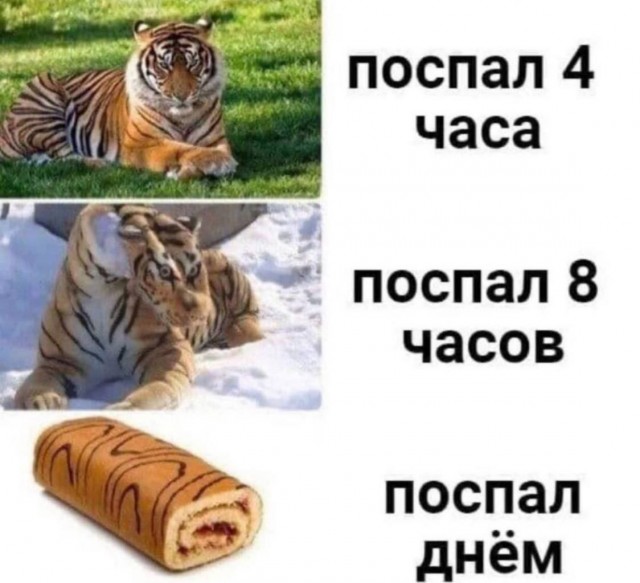 Картинки для деградации 15 (разной степени свежести)