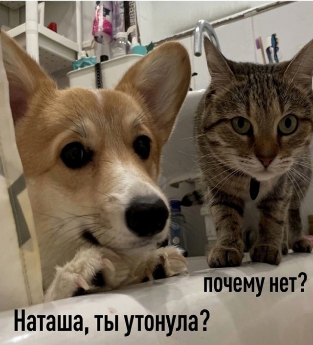 Так себе картинки 02.09.25