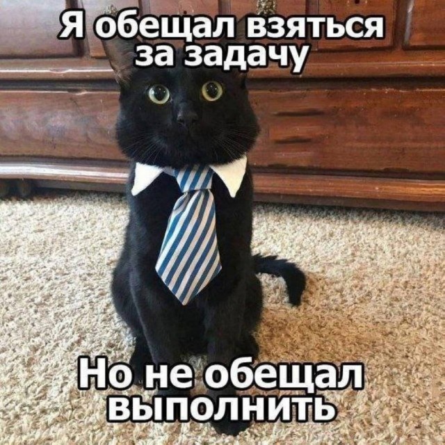 Картинки для деградации 38 (разной степени свежести)