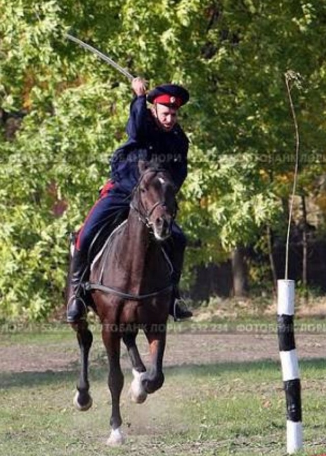 Догадались наконец-то