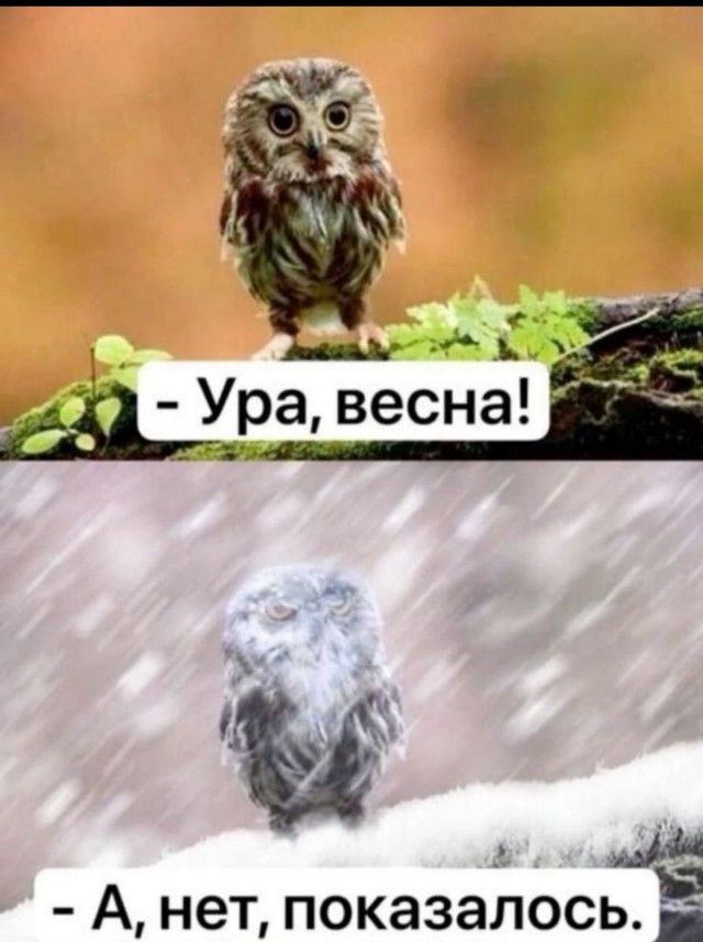 ПРИКАЗ № ЯП-07-11-2025/МСКпо Метеорологическойслужбе ЯПао кадровых перестановкахответственных за погодныеусловия г. Москва