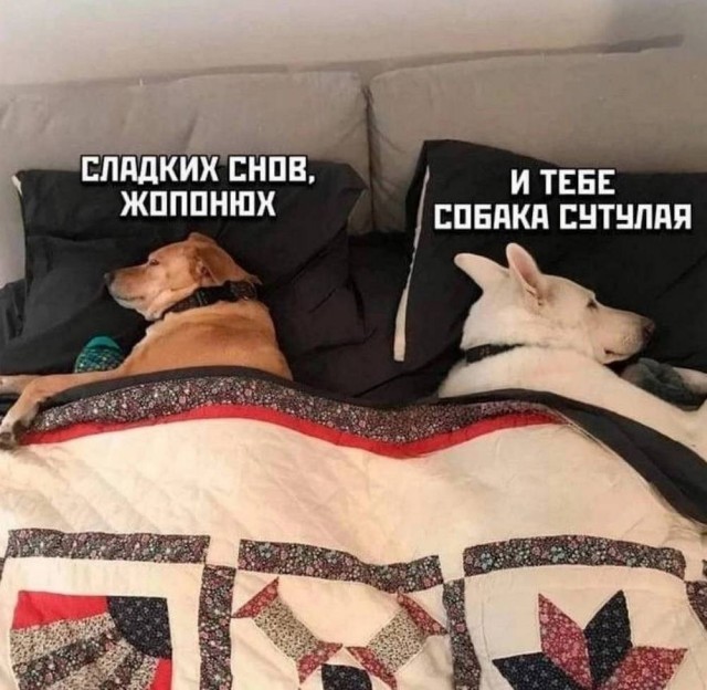 Среда пришла