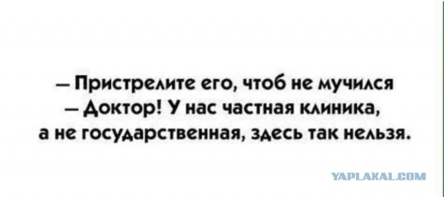 Так себе картинки 21.12.25