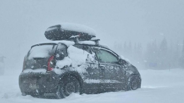 Безумные европейцы едут по России