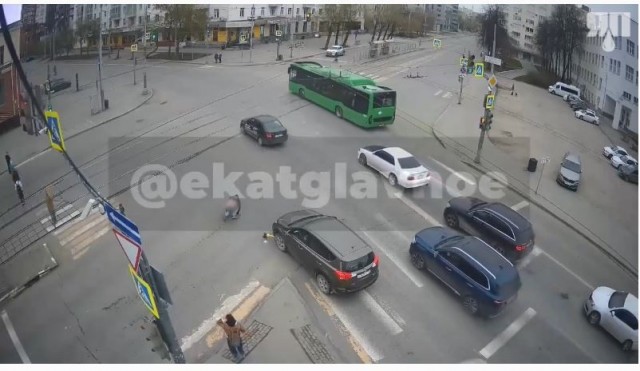 Два петуха