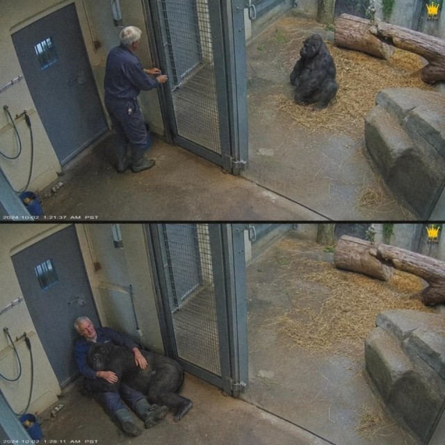 Доброта