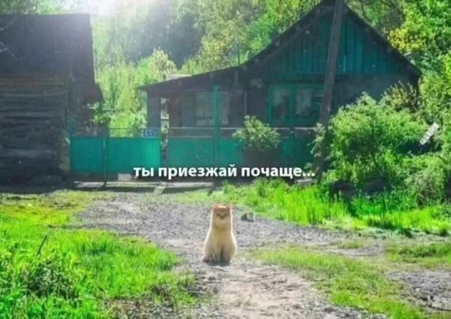 Вкус воды в такой кружке был другой...