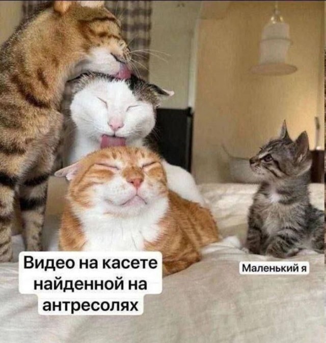 Веселые картинки в маленькую пятницу (15.07)