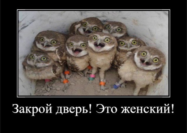 Ни о чем