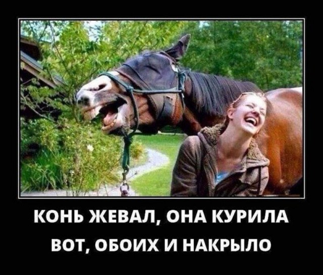 Прикольные и просто красивые картинки 25.09.2026
