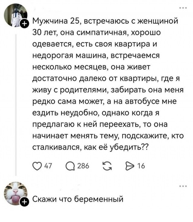 Прикольные и просто красивые картинки 23.10.2026
