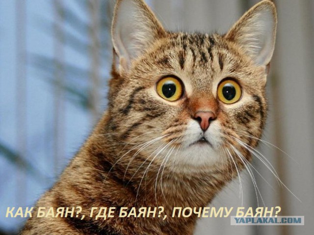Не про олимпиаду