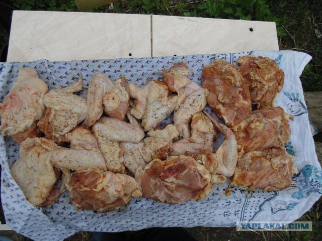 Кулинарная общалка