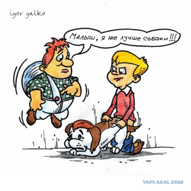 Забавные картинки и комменты из соцсети