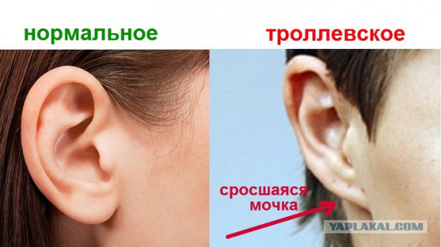 Какие у Вас уши?