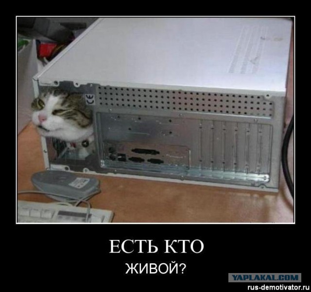 Чёрт, чёрт, чёрт!