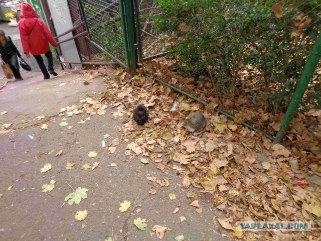 Београд