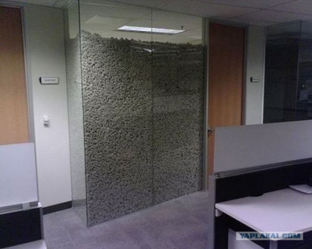 Они ненавидят свою работу (50 фото)