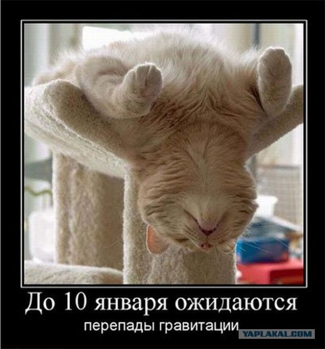 Картинки из сети на понедельник