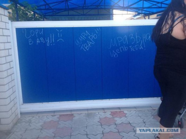 ТП-живодерка протащила свою собаку по городу