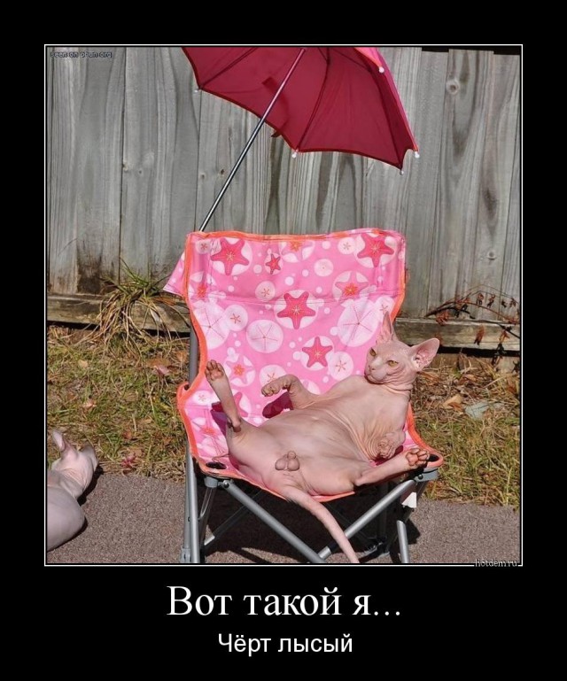 Веселые картинки