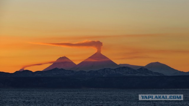 Морская романтика