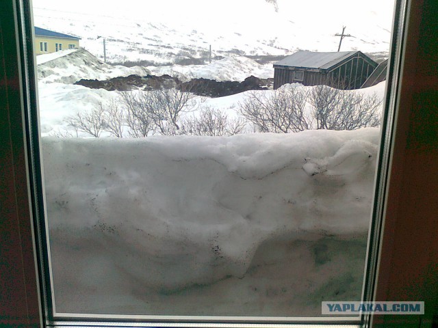 40 фактов о климате России, которые вы не знали