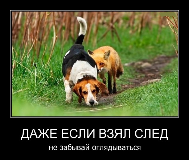 Субботняя подборочка картинок