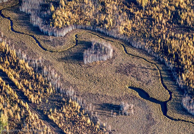 Осенние краски якутской тайги с вертолета