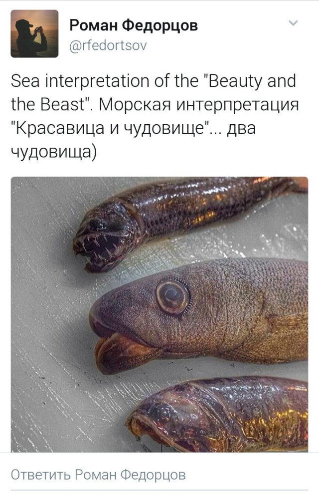 Мурманский моряк выкладывает фото самых странных рыб, пойманных его траулером