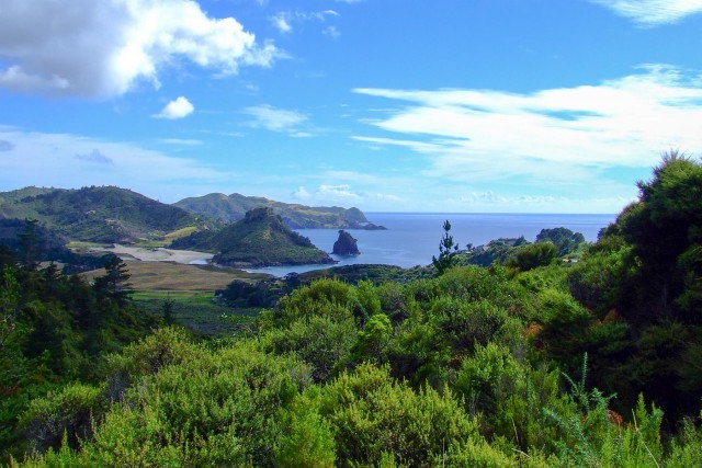 Great Barrier Island. Новая Зеландия.