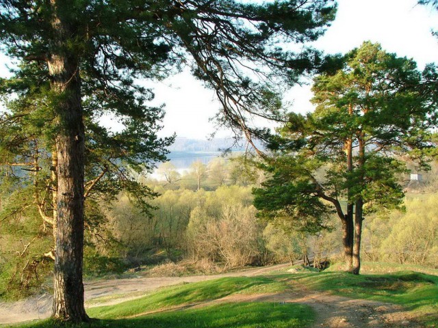 Моменты, запечатлённые на фото и просто позитив 5