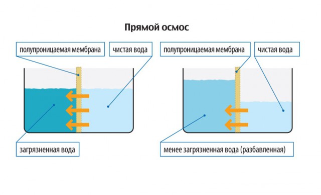 Водопроводная, бутилированная, фильтрованная: какую воду стоит пить