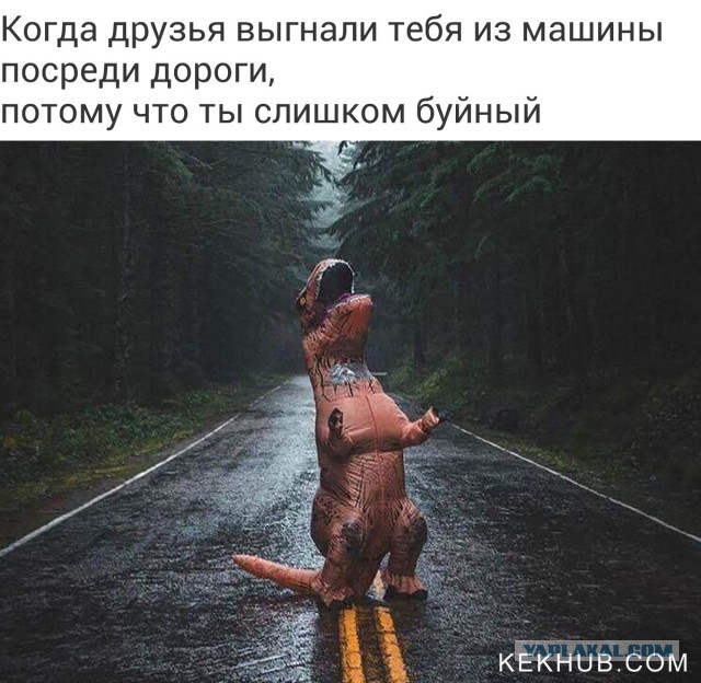 Чёрный и абсурдный юмор к понедельнику